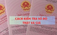 Cách Kiểm Tra Sổ Đỏ Chính Xác Trước Khi Mua Nhà Đất