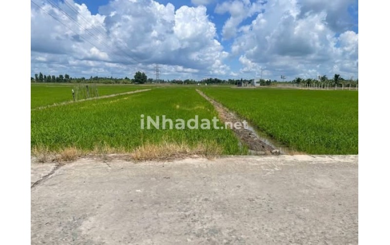 BÁN ĐẤT THỦ THỪA, LONG AN – DIỆN TÍCH KHỦNG 1000M² – SÁT VÁCH KCN HÒA BÌNH – GIÁ ĐẦU TƯ CHỈ 2.3 TR/M²
