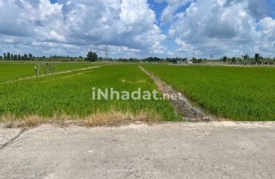 BÁN ĐẤT THỦ THỪA, LONG AN – DIỆN TÍCH KHỦNG 1000M² – SÁT VÁCH KCN HÒA BÌNH – GIÁ ĐẦU TƯ CHỈ 2.3 TR/M²