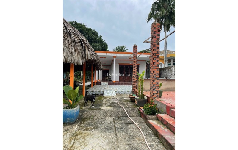 BÁN NHÀ MẶT TIỀN TỈNH LỘ 15, NHUẬN ĐỨC, CỦ CHI, DIỆN TÍCH 1.341M²