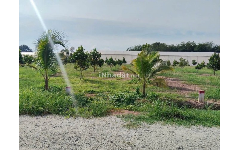 BÁN ĐẤT PHÚ GIÁO, 250M², GẦN CHỢ, GIÁ CHỈ 6XX TRIỆU