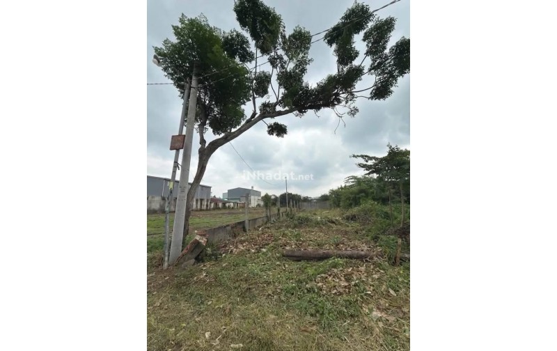 BÁN ĐẤT BẢO VINH, LONG KHÁNH, 150M², THỔ CƯ 100%, GIÁ TỐT