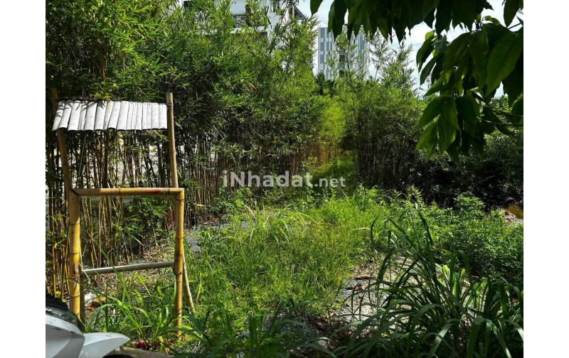 Sang Nhượng Quán View Hoàng Hôn Đẹp Tại Phú Quốc, 1.000m².