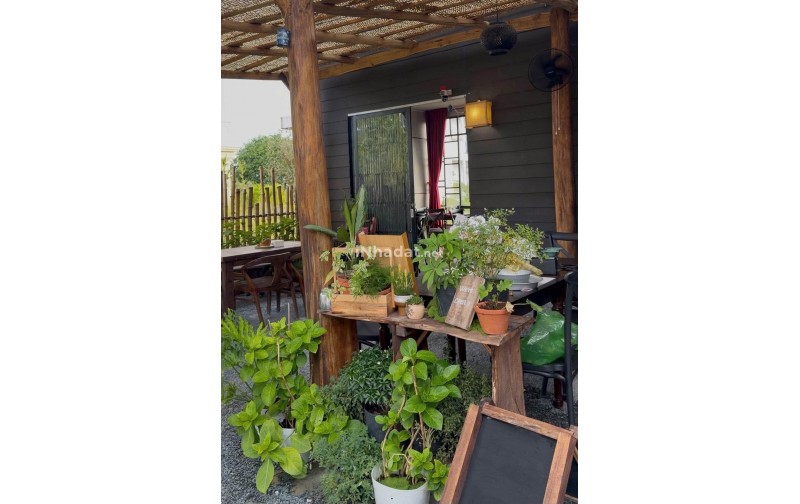 Sang Nhượng Quán View Hoàng Hôn Đẹp Tại Phú Quốc, 1.000m².