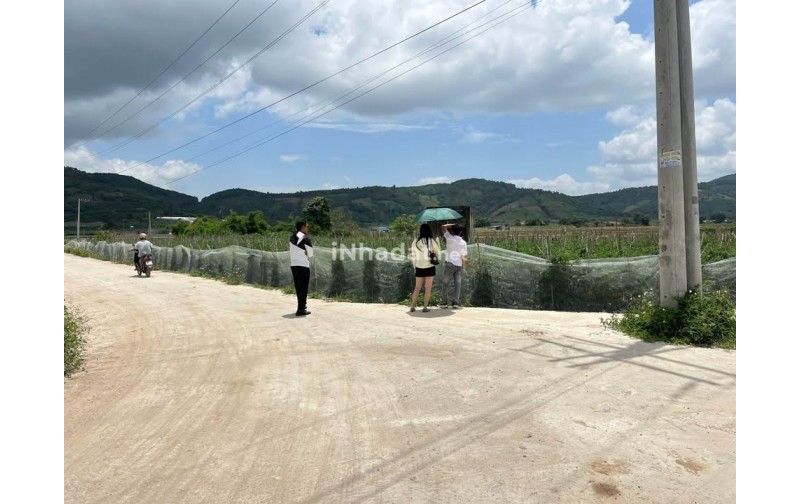 Bán Đất Liên Hiệp, Đức Trọng – Gần Sân Bay Liên Khương