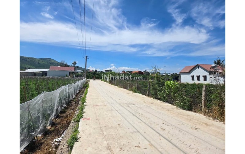 Bán Đất Liên Hiệp, Đức Trọng – Gần Sân Bay Liên Khương