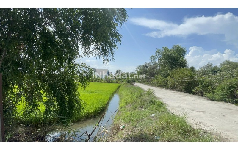 Bán Đất 1.000m² Gần Vành Đai 4, Đức Hòa – Giá 1,6 Tỷ