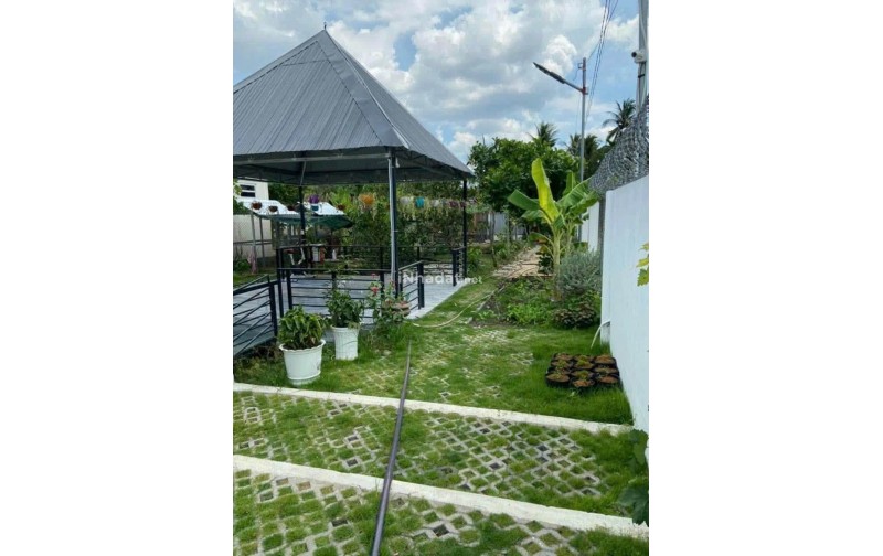 Bán Nhà Vườn Nghỉ Dưỡng Tân Thạch, Bến Tre – 715m² – Giá 2,9 Tỷ