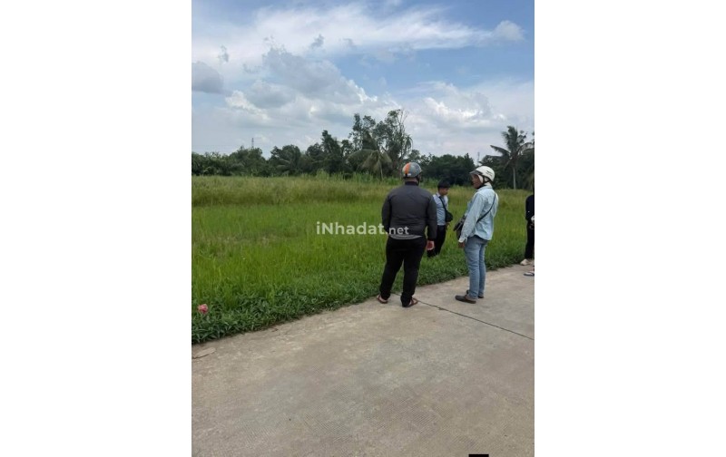Bán Đất Thổ Cư Bình Lãng, Tân Trụ – Giá 499 Triệu/Nền