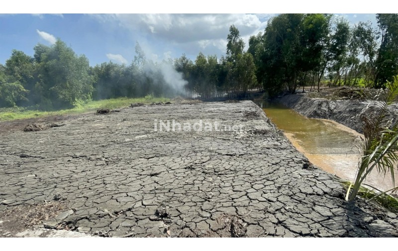 Bán Đất 1.000m² Gần Vành Đai 4, Đức Hòa – Giá 1,6 Tỷ