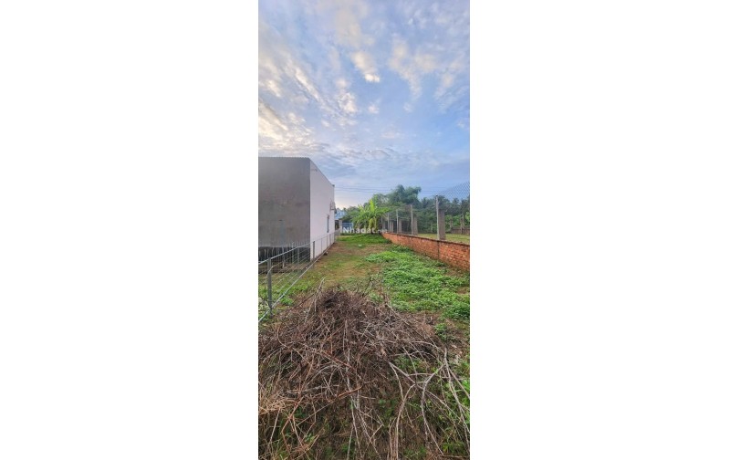 Bán Đất Mặt Tiền Trần Văn Cầu, Phường An Hội – 151m² – Giá 950 Triệu