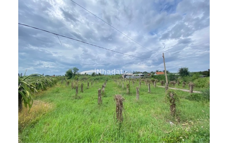 Bán 1,4 Sào Đất Cây Lâu Năm Quy Hoạch Thổ Cư, Hàm Đức