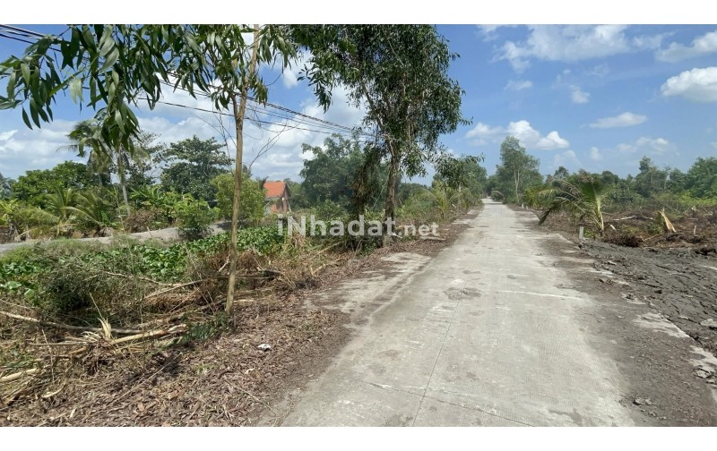 Bán Đất 1.000m² Gần Vành Đai 4, Đức Hòa – Giá 1,6 Tỷ