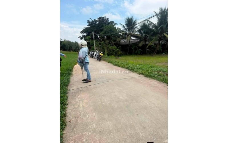 Bán Đất Thổ Cư Bình Lãng, Tân Trụ – Giá 499 Triệu/Nền