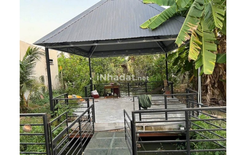 Bán Nhà Vườn Nghỉ Dưỡng Tân Thạch, Bến Tre – 715m² – Giá 2,9 Tỷ