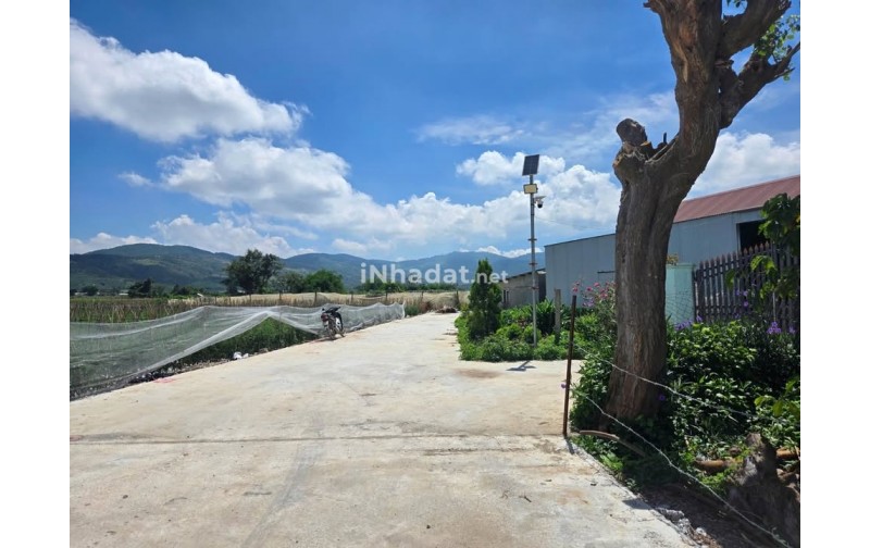 Bán Đất Liên Hiệp, Đức Trọng – Gần Sân Bay Liên Khương