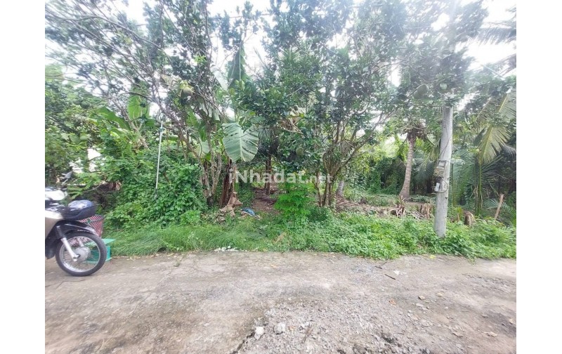 Bán Nền Biệt Thự Phường An Hội, Vĩnh Long – 400m² – Giá 799 Triệu