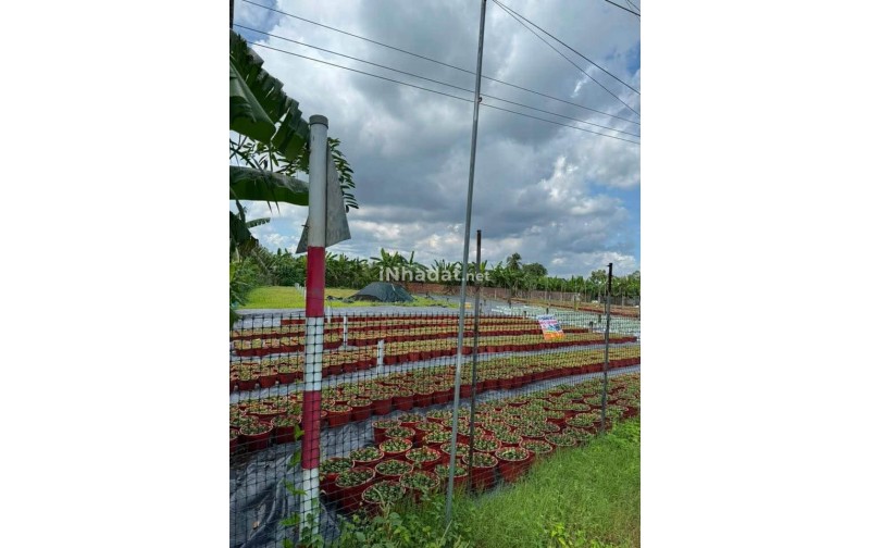 Bán Đất Mặt Tiền Huyện 90C, Mỹ Phong – Giá 1,05 Tỷ