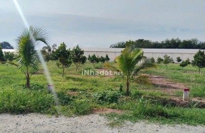 BÁN ĐẤT PHÚ GIÁO, 250M², GẦN CHỢ, GIÁ CHỈ 6XX TRIỆU