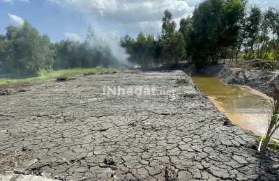Bán Đất 1.000m² Gần Vành Đai 4, Đức Hòa – Giá 1,6 Tỷ