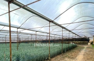 Bán Đất 4.000m² Hồ Than Thở, Đà Lạt – View Đồi Thông