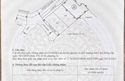 Bán Đất Đường Tô Hiến Thành, Đà Lạt – 298m², Giá 17 Tỷ